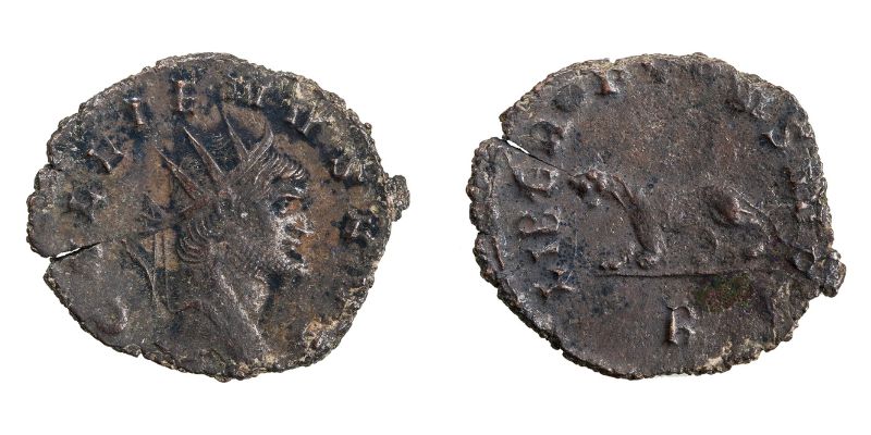 Une panthère à gauche orne le revers de cet antoninien, avec la légende LIBERO P CONS AVG. [© American Numismatic Society]